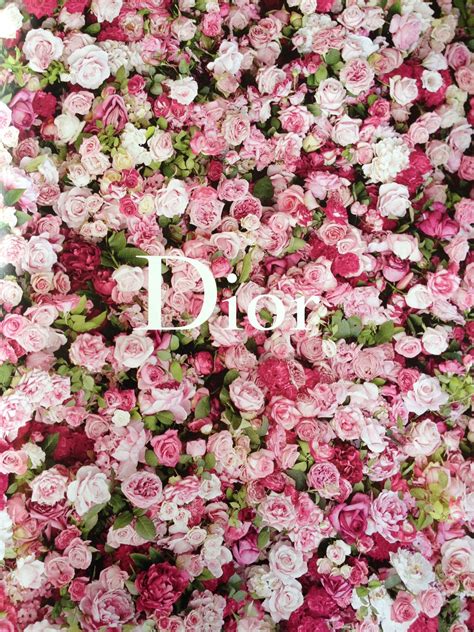 dior pink|Dior pink flower.